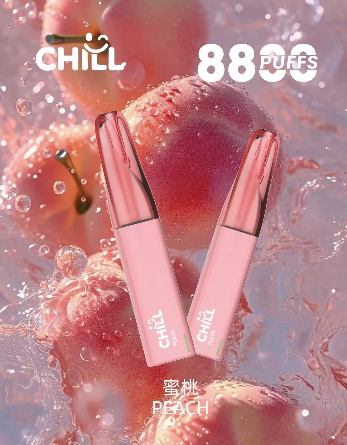 CHILL 始祖鳥